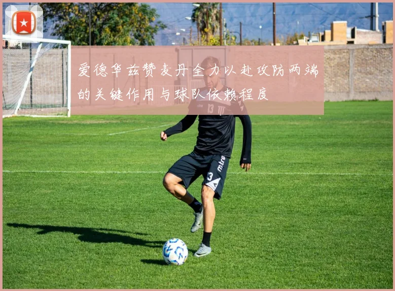 爱德华兹赞麦丹全力以赴攻防两端的关键作用与球队依赖程度