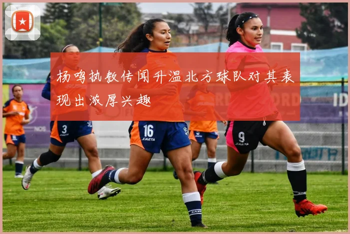 杨鸣执教传闻升温北方球队对其表现出浓厚兴趣